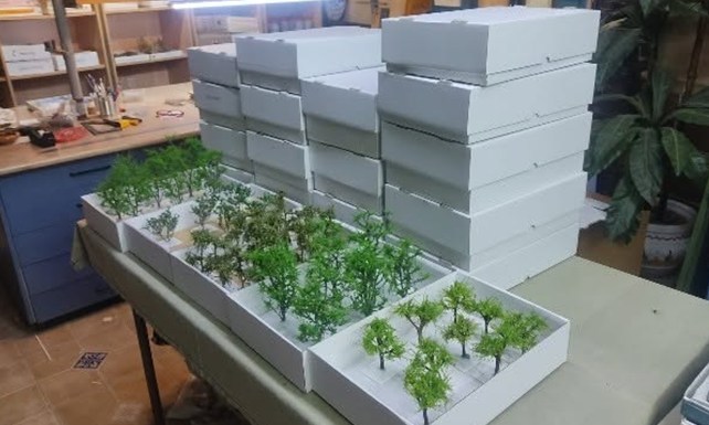 Bandejas de arbolitos preparados en el taller