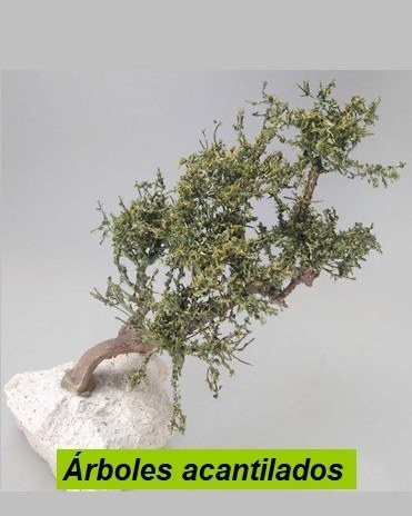 Árboles acantilados