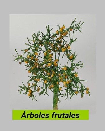 Árboles frutales
