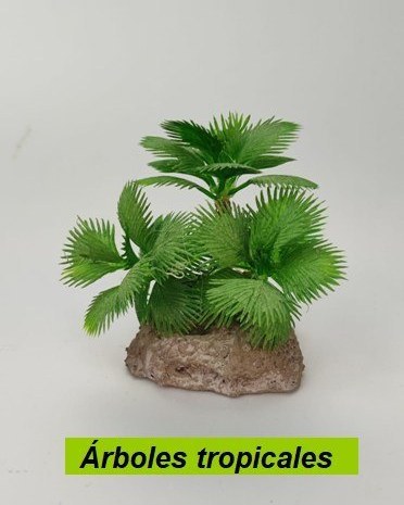 Árboles tropicales
