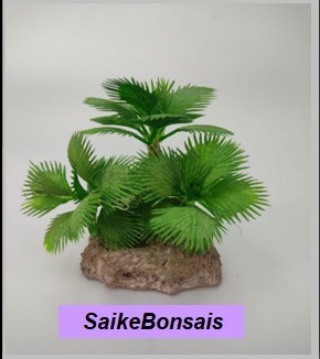 SaikeBonsais