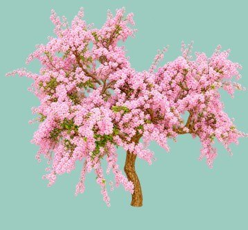 Arbolito y vegetación en miniatura a escala hechos a mano por Nature Center