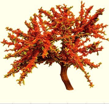 Arbolito y vegetación en miniatura a escala hechos a mano por Nature Center