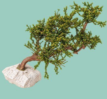 Arbolito y vegetación en miniatura a escala hechos a mano por Nature Center