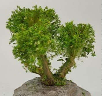 Arbolito y vegetación en miniatura a escala hechos a mano por Nature Center