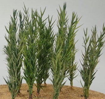 Arbolito y vegetación en miniatura a escala hechos a mano por Nature Center