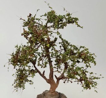 Arbolito y vegetación en miniatura a escala hechos a mano por Nature Center