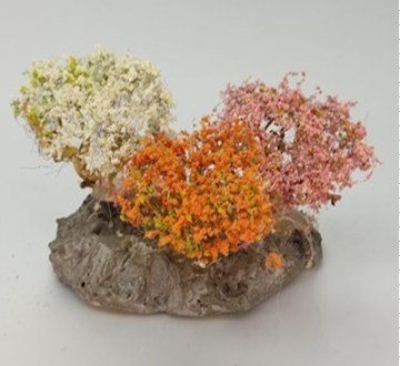 Arbolito y vegetación en miniatura a escala hechos a mano por Nature Center