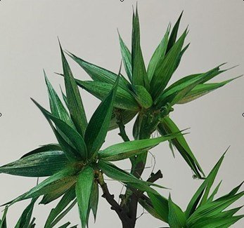 Arbolito y vegetación en miniatura a escala hechos a mano por Nature Center