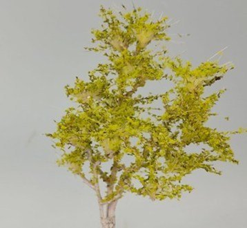 Arbolito y vegetación en miniatura a escala hechos a mano por Nature Center